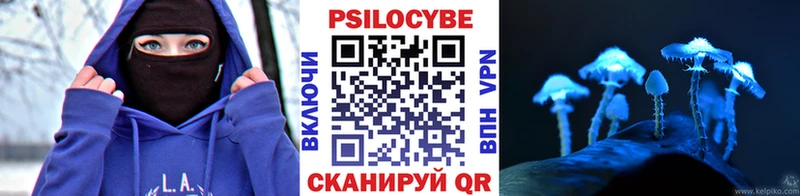 Галлюциногенные грибы Magic Shrooms  купить закладку  Рыбное 